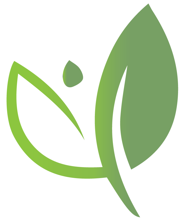 green criteria leaf icon